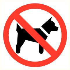 Pictogram verboden voor honden